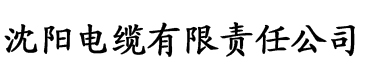 十八社区电缆厂logo